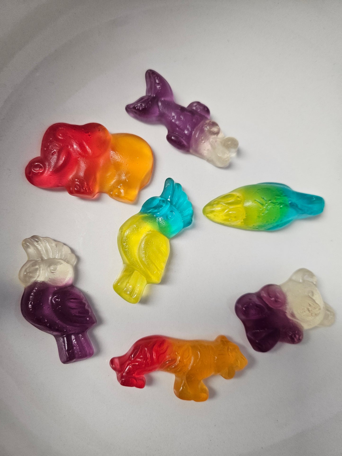 Animaux Xl Lisses - 100g