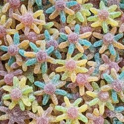 Octopus Acides - 100g